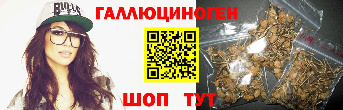 Псилоцибиновые грибы мухоморы  Вход с VPN  Одинцово 